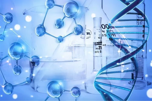 蘭州生物醫藥產業政策