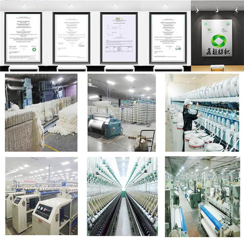 揭陽有機(jī)棉帆布廠家 鑫超紡織品以合理價(jià)格與專業(yè)技術(shù)引領(lǐng)市場
